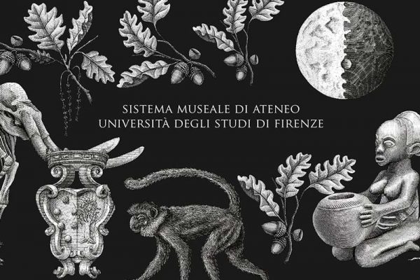 Sistema Museale di Ateneo Firenze |Un’esperienza a 360°