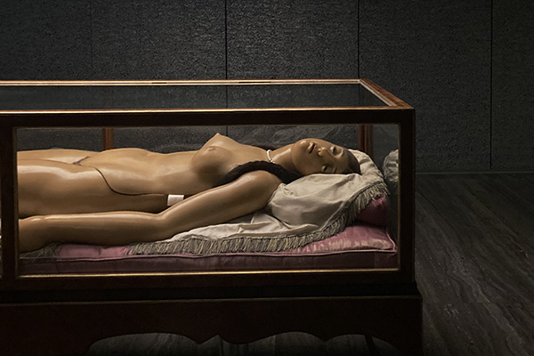 Cere Anatomiche, la nuova mostra a Fondazione Prada.