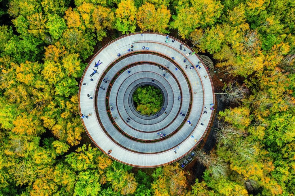 In una foresta alle porte di Copenaghen, in Danimarca, i visitatori possono salire su una passerella a spirale alta 45 metri.