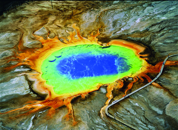 I microrganismi conferiscono tonalità rosse e gialle alla Grand Prismatic Spring del Parco nazionale di Yellowstone, Wyoming, Stati Uniti.