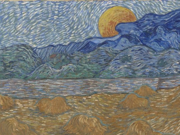 A tu per tu con Van Gogh a Palazzo Ducale