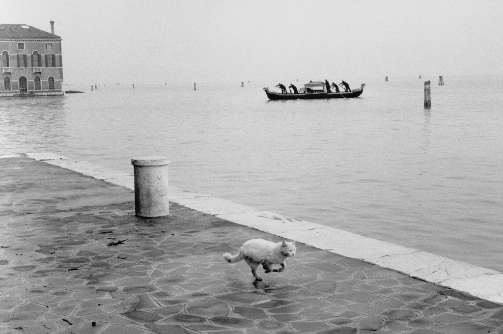Foto di Gianni Berengo Fardin, scattata durante il 1960.