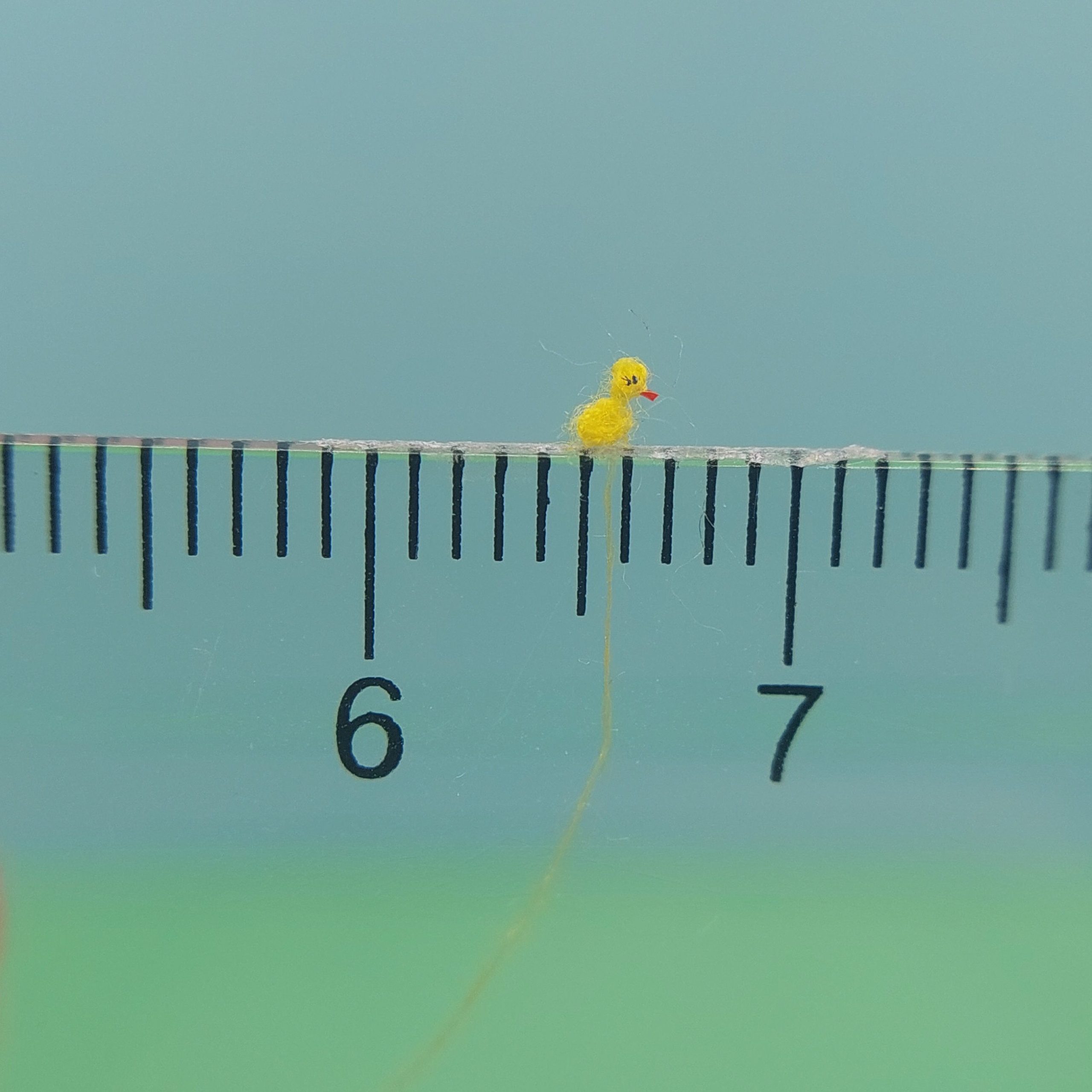 1.5 mm duck ©Lucia Dolgopolova